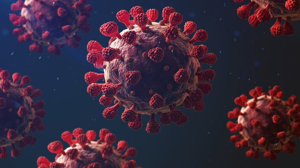 उत्तराखंड में 4339 और मिले coronavirus संक्रमित, संख्या बढ़कर हुई 142349, देखे विस्तृत रिपोर्ट