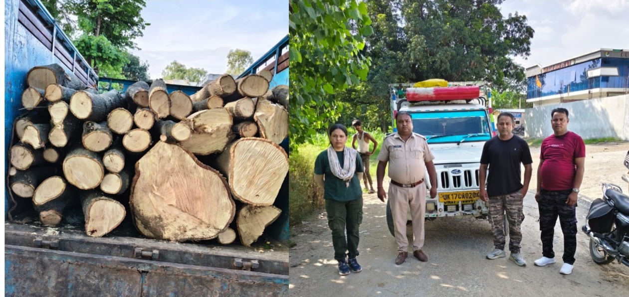 तेजतर्रार वन दरोगा आशुतोष नीम की ताबड़तोड़ कार्रवाई, टाटा-407 में भरी अवैध लकड़ी पकड़ी*