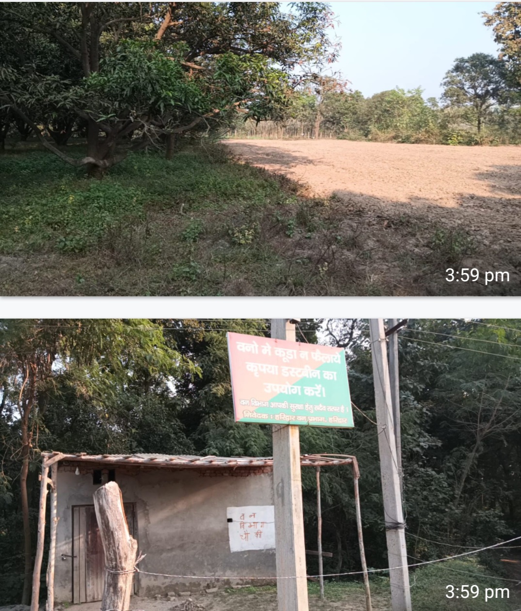 धनोरी में हरे पेड़ों पर चल रही आरी, चौकी के पास ही माफियाओं का आतंक – वन विभाग की मिलीभगत-सूत्र*